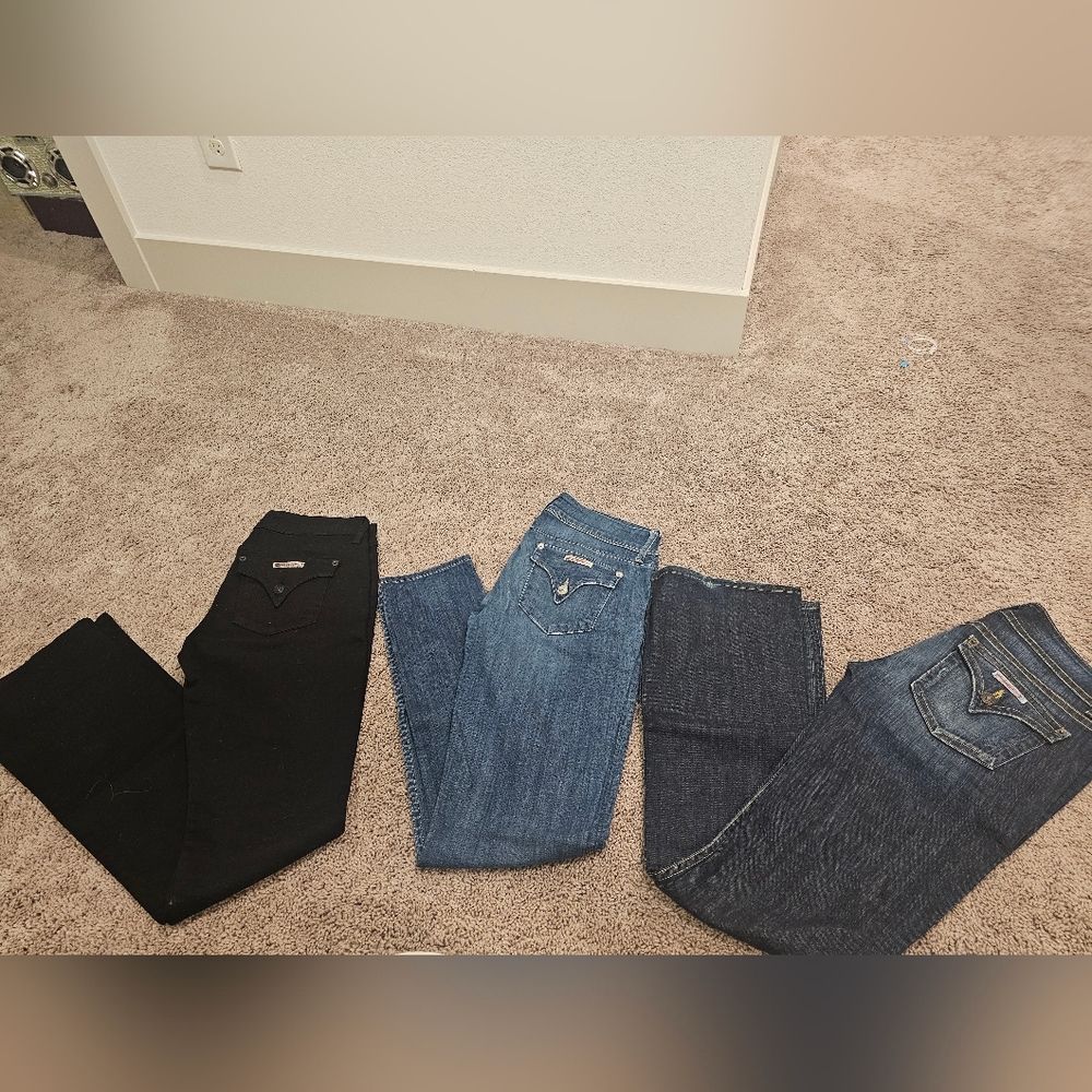 Hudson Jeans Straight Leg - Black and Blue